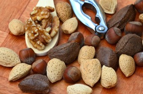 nuts-1703663_1920
